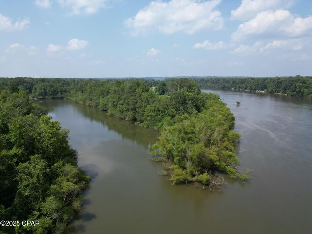 8599 Gadsen Trail, Sneads, FL 32460