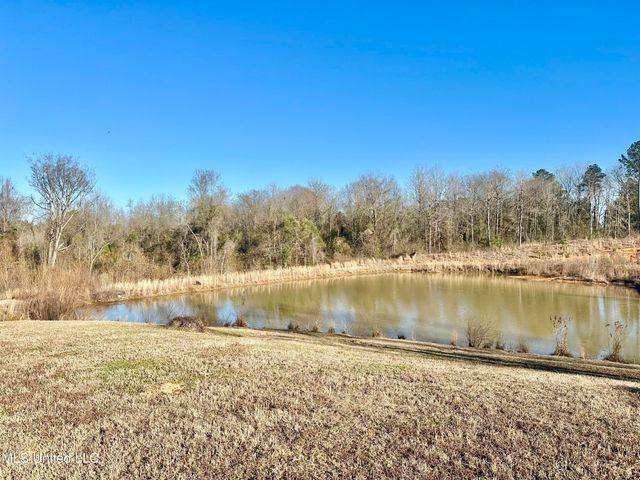 391 Scr 62, Magee, MS 39111