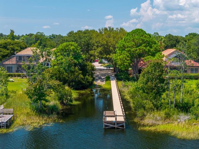 1070 CEASARS COURT, Mount Dora, FL 32757