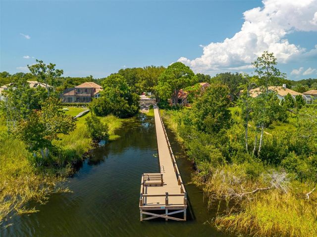 1070 CEASARS COURT, Mount Dora, FL 32757