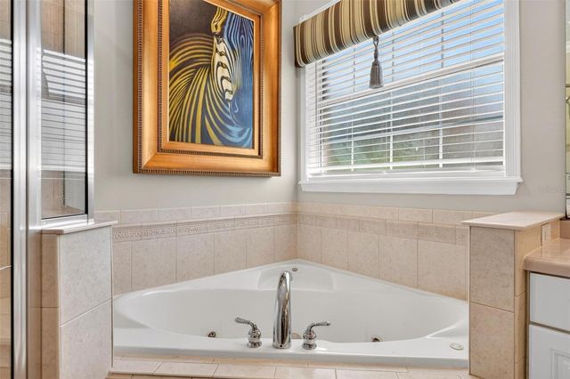 1070 CEASARS COURT, Mount Dora, FL 32757