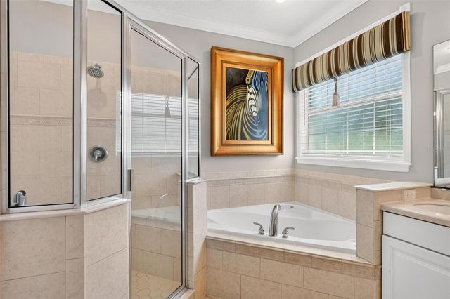 1070 CEASARS COURT, Mount Dora, FL 32757