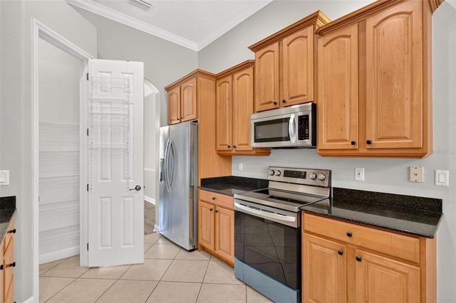 1070 CEASARS COURT, Mount Dora, FL 32757