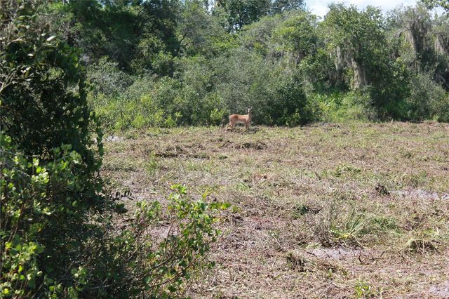 DEER ROAD, Frostproof, FL 33843