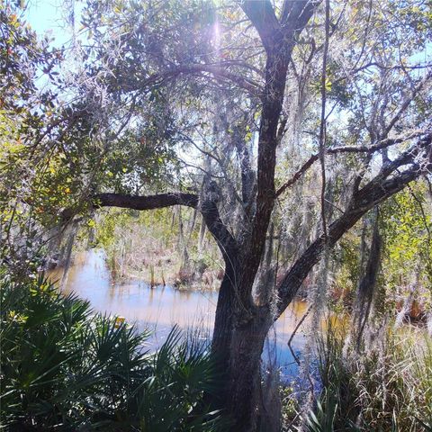 DEER ROAD, Frostproof, FL 33843
