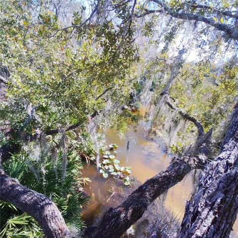 DEER ROAD, Frostproof, FL 33843