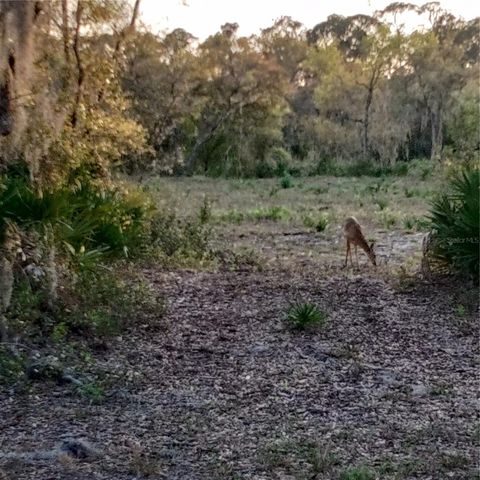 DEER ROAD, Frostproof, FL 33843