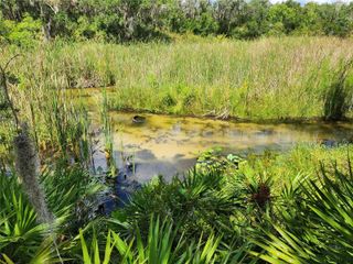 DEER ROAD, Frostproof, FL 33843