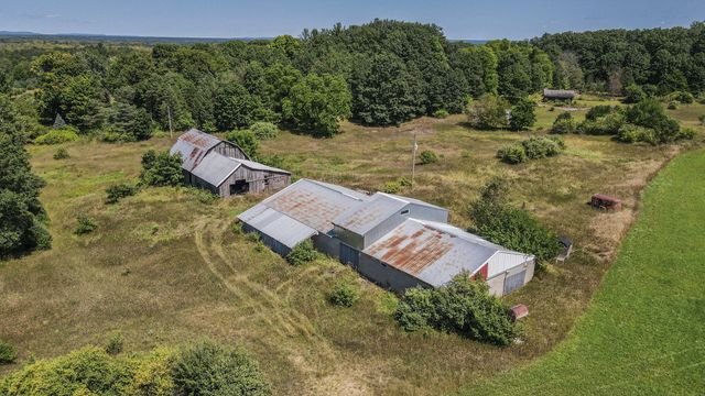 11425 Kerry Road, Brethren, MI 49619