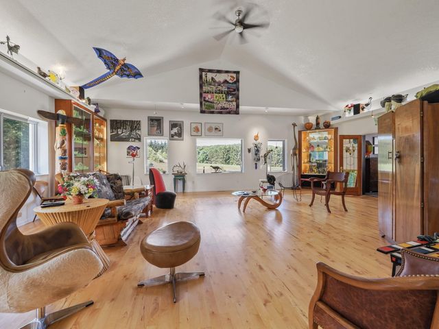 11425 Kerry Road, Brethren, MI 49619