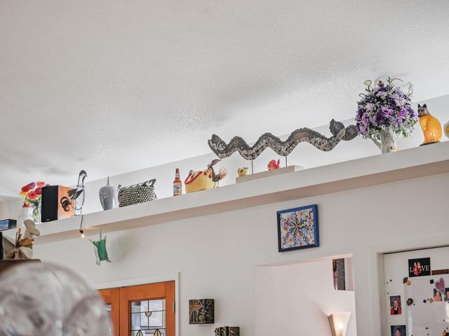 11425 Kerry Road, Brethren, MI 49619