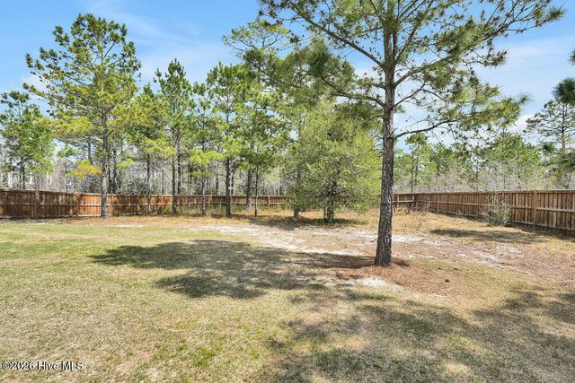 9599 Fallen Pear Lane NE, Leland, NC 28451