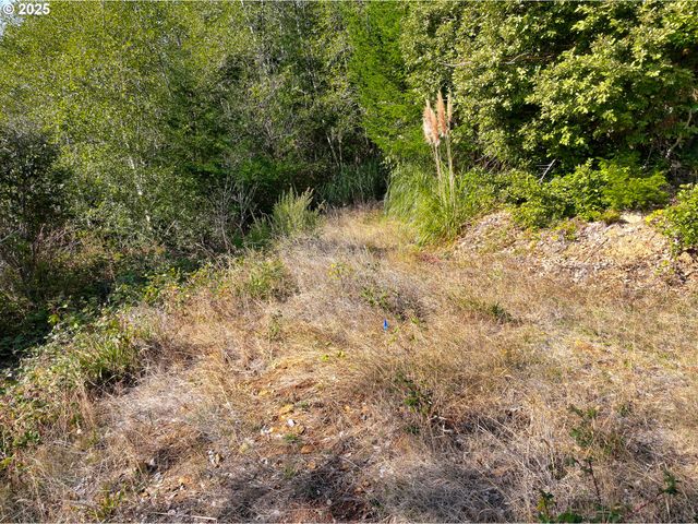 97436 WHISPER Ln, Brookings, OR 97415