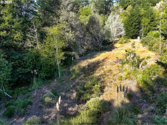 97436 WHISPER Ln, Brookings, OR 97415