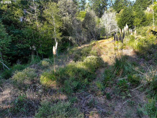 97436 WHISPER Ln, Brookings, OR 97415