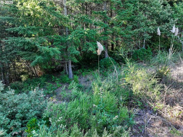 97436 WHISPER Ln, Brookings, OR 97415