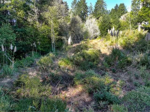 97436 WHISPER Ln, Brookings, OR 97415