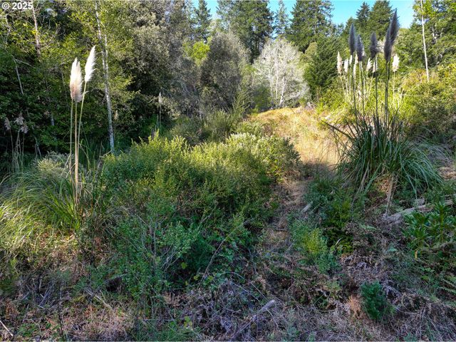 97436 WHISPER Ln, Brookings, OR 97415