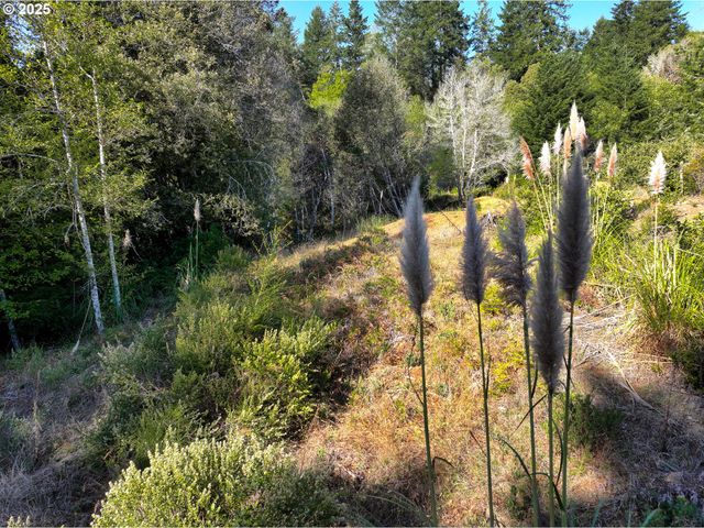 97436 WHISPER Ln, Brookings, OR 97415