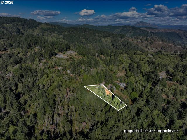 97436 WHISPER Ln, Brookings, OR 97415