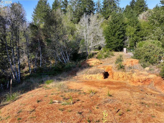 97436 WHISPER Ln, Brookings, OR 97415