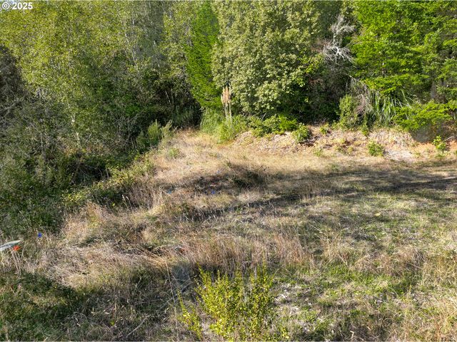 97436 WHISPER Ln, Brookings, OR 97415