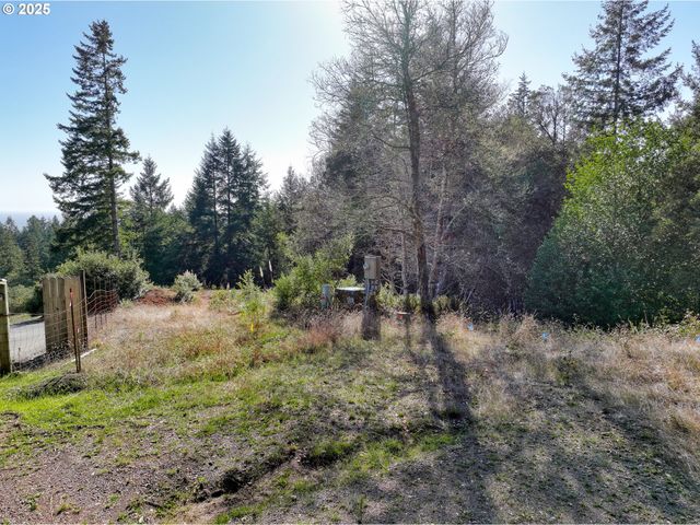 97436 WHISPER Ln, Brookings, OR 97415