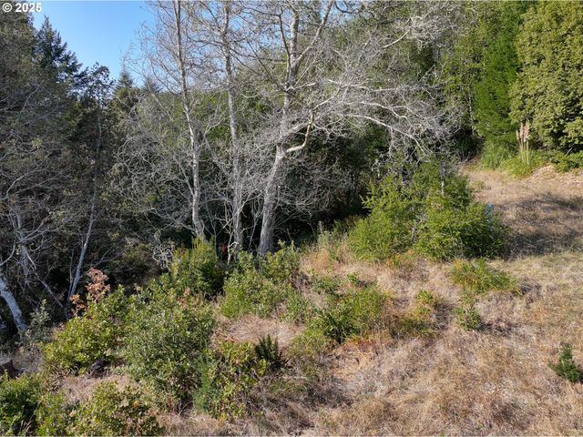 97436 WHISPER Ln, Brookings, OR 97415