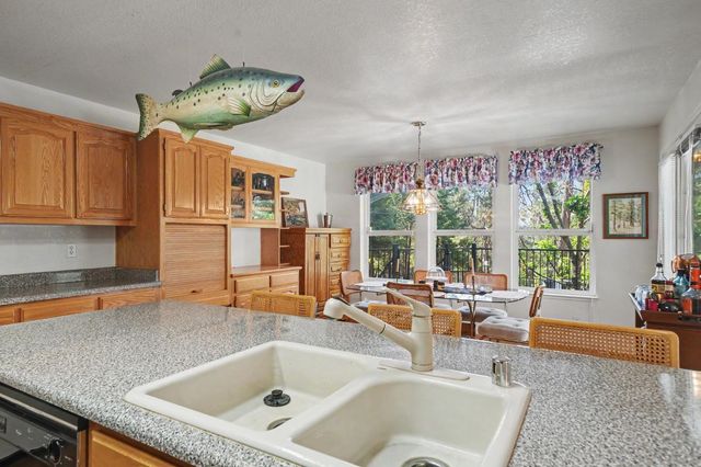 25733 Aspen Ct, Volcano, CA 95689