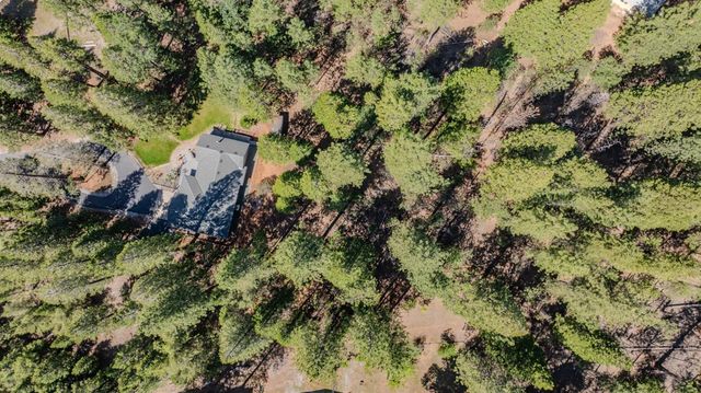 25733 Aspen Ct, Volcano, CA 95689