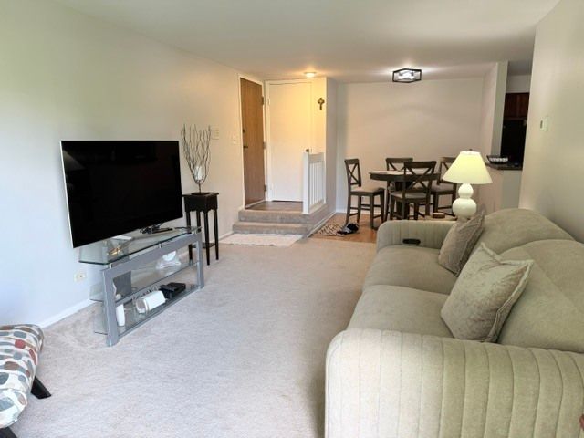 1573 Raymond Drive 102, Naperville, IL 60563