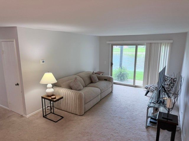 1573 Raymond Drive 102, Naperville, IL 60563