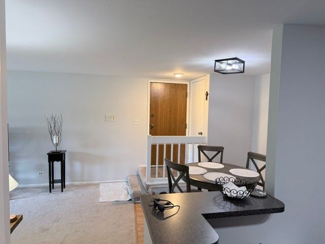 1573 Raymond Drive 102, Naperville, IL 60563