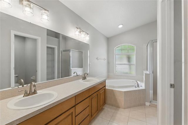19713 ELLENDALE DRIVE, Land O Lakes, FL 34638