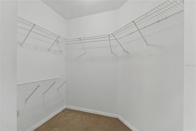 19713 ELLENDALE DRIVE, Land O Lakes, FL 34638