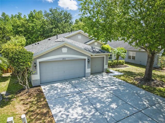 19713 ELLENDALE DRIVE, Land O Lakes, FL 34638