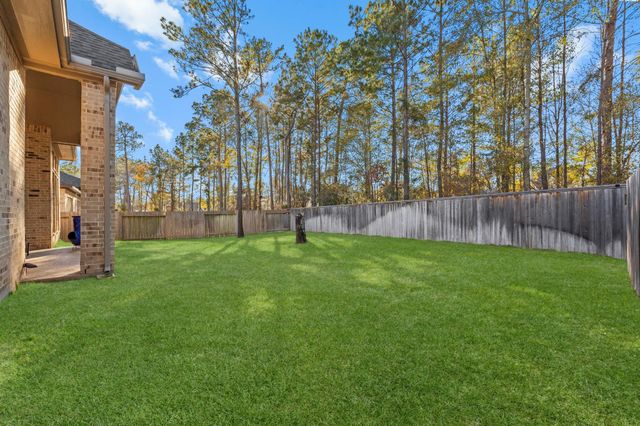 153 Sweeping Valley Drive, Montgomery, TX 77316