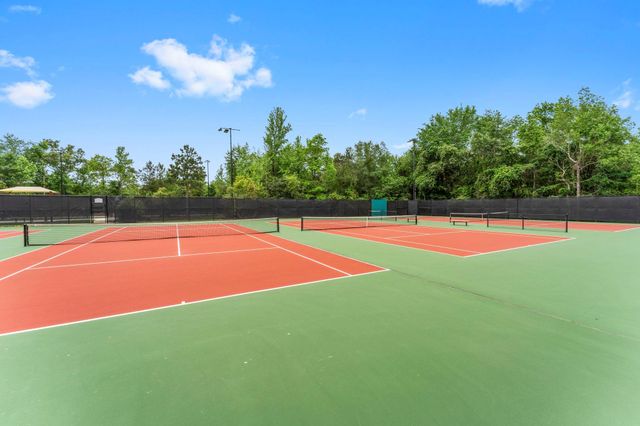 153 Sweeping Valley Drive, Montgomery, TX 77316