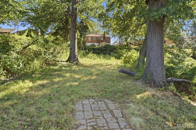 4502 June Avenue, St Louis, MO 63121