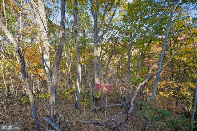 598 TIMBER LN, Bluemont, VA 20135