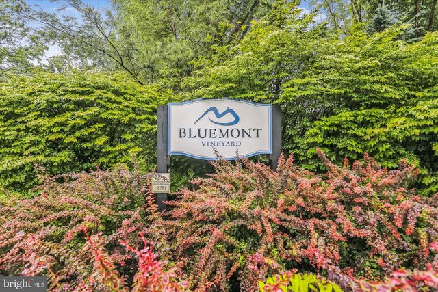 598 TIMBER LN, Bluemont, VA 20135