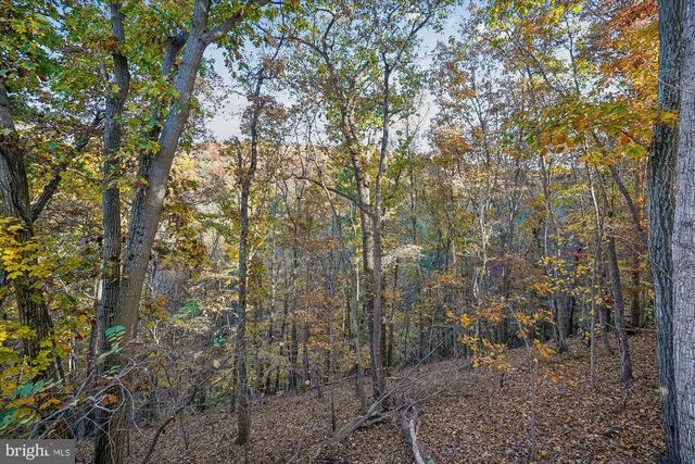 598 TIMBER LN, Bluemont, VA 20135