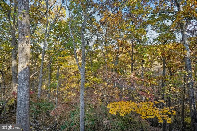 598 TIMBER LN, Bluemont, VA 20135