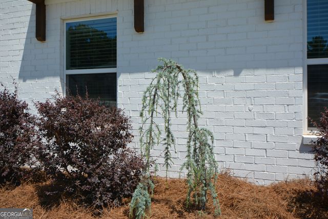 65 Starr Place, Newnan, GA 30263