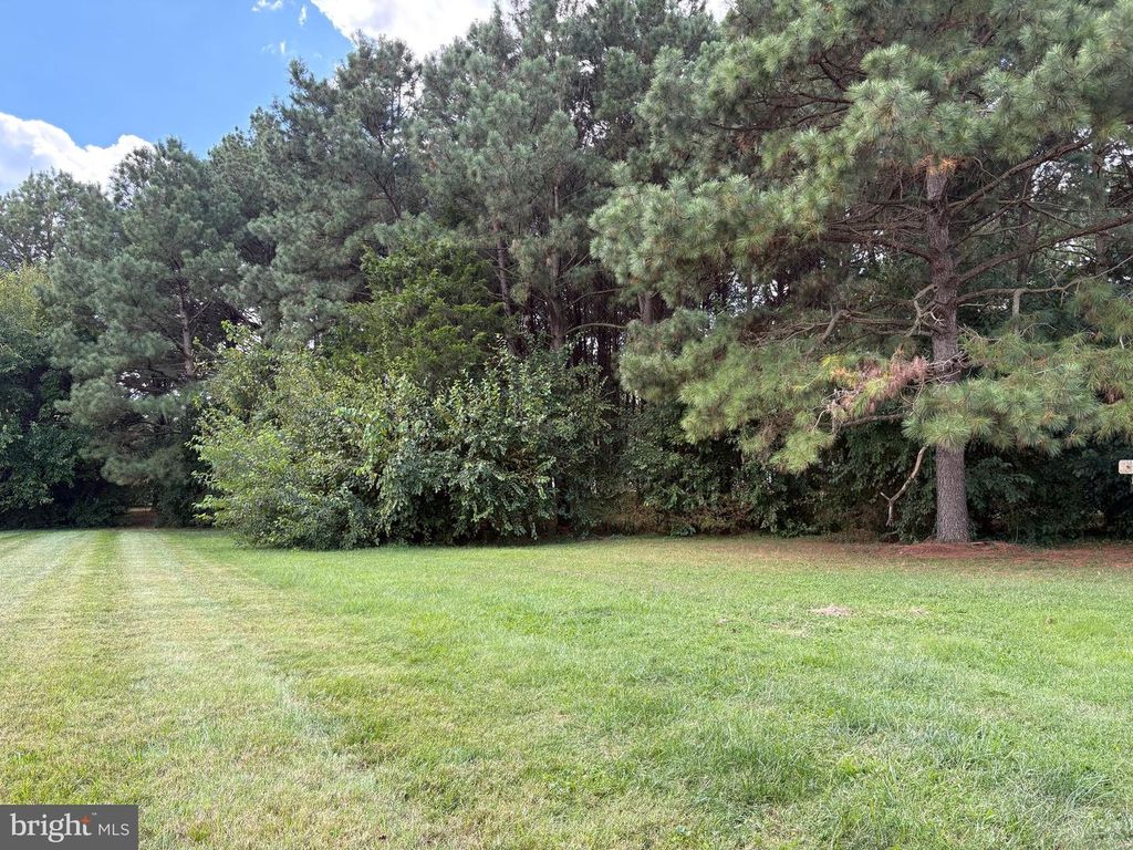 Image 34 of property listing at 31867 SHAVOX RD, Salisbury, MD 21804