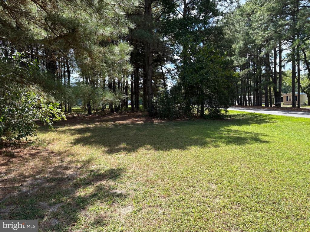Image 36 of property listing at 31867 SHAVOX RD, Salisbury, MD 21804