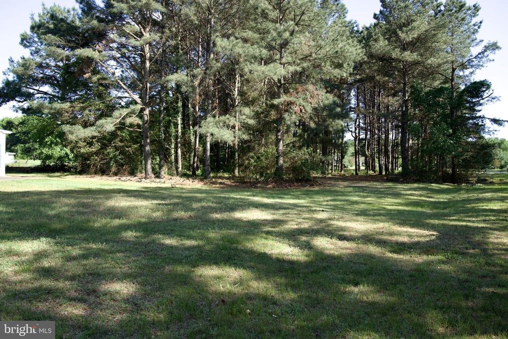 Image 37 of property listing at 31867 SHAVOX RD, Salisbury, MD 21804