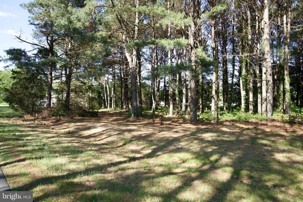 Image 38 of property listing at 31867 SHAVOX RD, Salisbury, MD 21804
