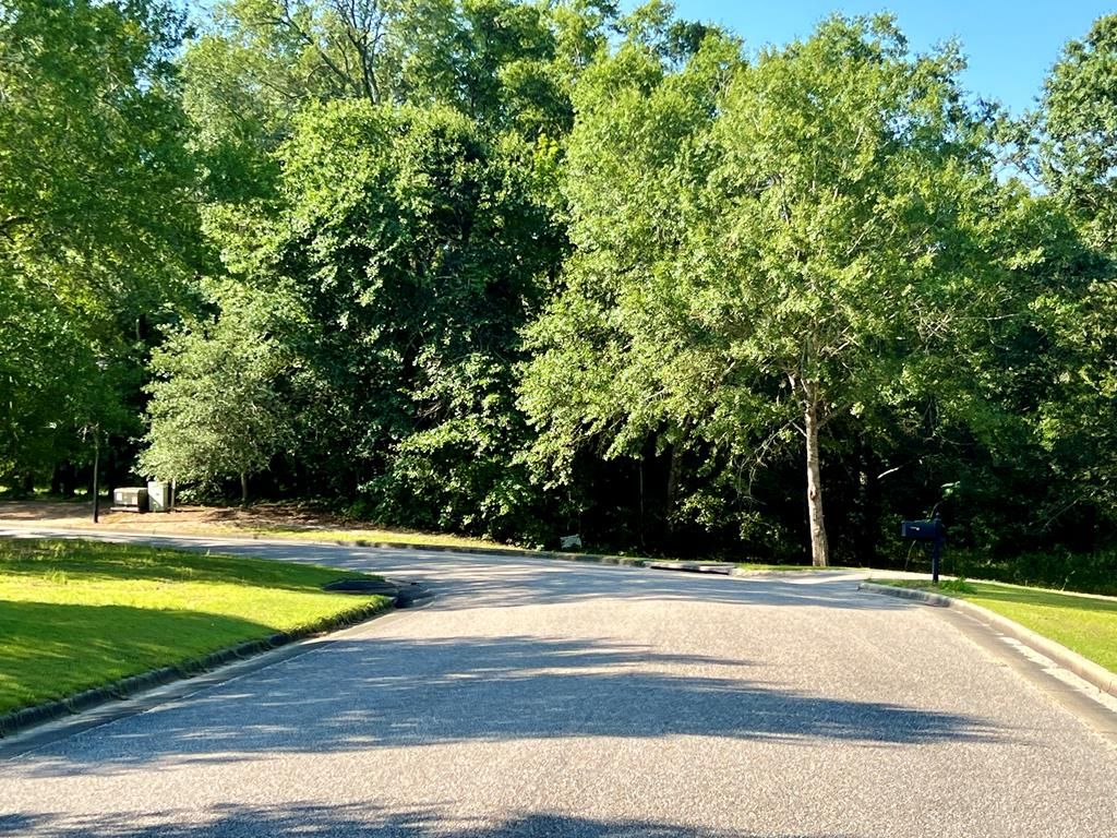 3.4 acres Thornberry Place, Ashford, AL 36312