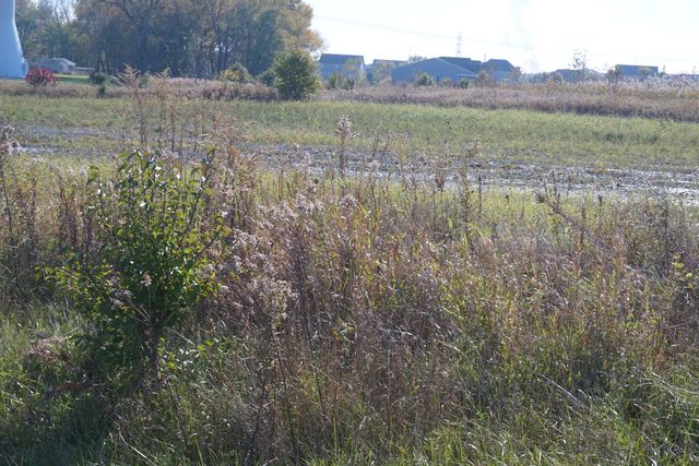 Lot 5 Us Rte 6 Road, Channahon, IL 60410